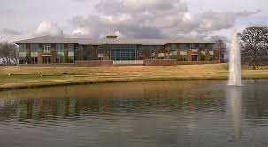 Artificial turf services in Baytown, TX